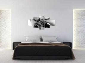 Obraz - Skrzypce (125x70 cm)