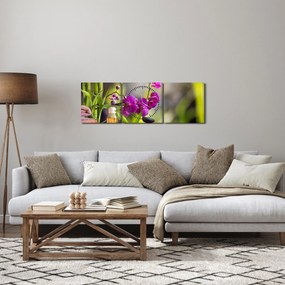 Obraz - spa and stones (z zegarem) (90x30 cm)