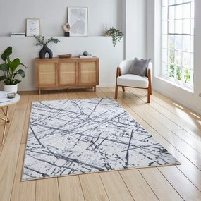 Jasnoszary dywan 160x230 cm Artemis – Think Rugs