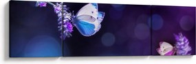 Obraz - Motyle na lawendie (170x50 cm)