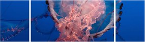 Obraz meduzy (170x50 cm)