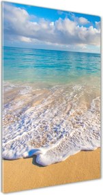 Foto obraz szklany pionowy Tropikalna plaża