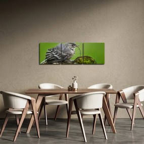 Obraz - Muchołówka (z zegarem) (90x30 cm)
