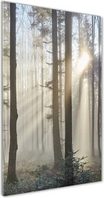 Foto obraz szkło hartowane pionowy Mgła w lesie