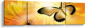Obraz - Żółty motyl z kwiatkiem (170x50 cm)