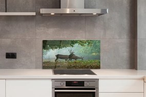 Panel nad Blat Kuchenny Jeleń w Jesiennej Aurze