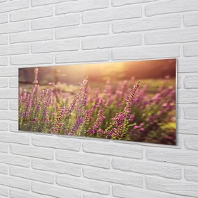 Szkło do Kuchni na Ścianę Rozległe Pole Wrzosów