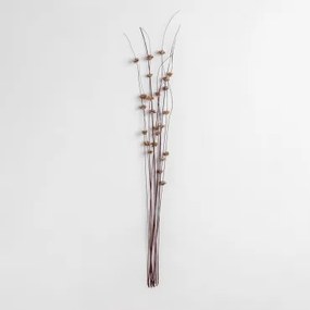 Pakiet 10 Suchych Gałązek Dekoracyjnych Zinia Brązowy - Sklum