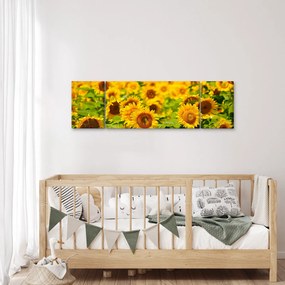 Obraz - Słoneczniki (170x50 cm)