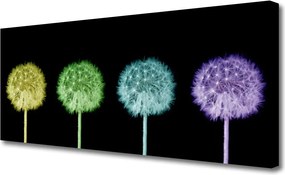 Obraz na płótnie Puszysta Kula Mniszka