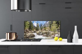 Panel Szklany Dziki Potok w Górskim Lesie