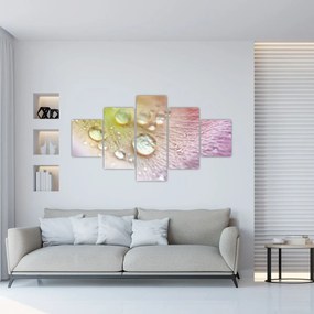 Obraz - Krople rosy (125x70 cm)