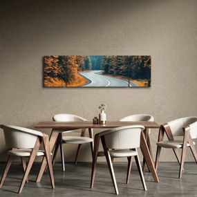 Obraz - Kręta droga (170x50 cm)
