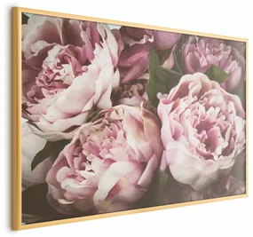 Plakat Różowe piwonie 60x40 cm z ramą złotą bez marginesu ARTGEIST B