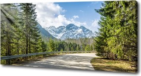 Foto obraz canvas Droga Tatry