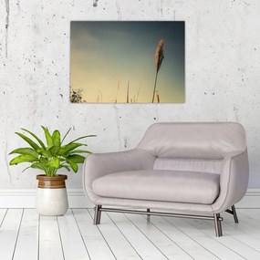 Obraz z trawą (70x50 cm)