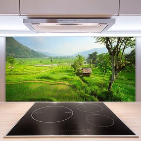 Szkło Dekoracyjne do Kuchni Sielska Zielona Łąka