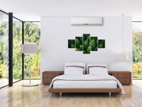 Obraz - Las (125x70 cm)