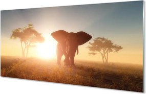 Panel szklany do Kuchni Słoń o Wschodzie Słońca na Sawannie