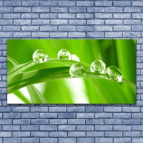 Obraz drukowany na płótnie Tropikalna Flora Liściasta