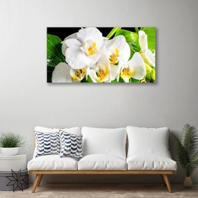 Obraz canvas Królewska Orchidea w Rozkwicie