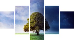 Obraz - Dzień i noc (125x70 cm)