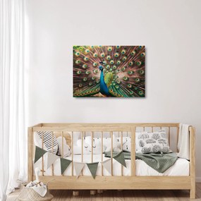 Obraz na szkle - Paw (70x50 cm)