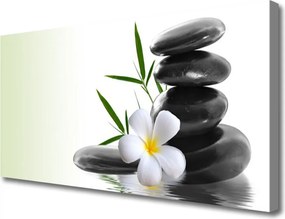 Obraz drukowany na płótnie Kwiatowa Kompozycja na Kamieniach