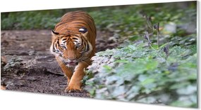 Szkło Ozdobne do Kuchni Tygrys w Cieniu Drzew