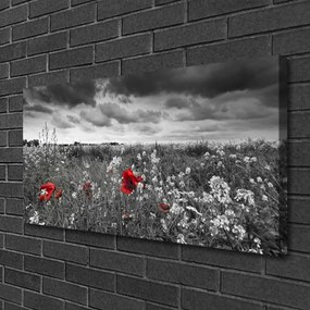 Obraz canvas na ścianę Sielska Polana Kwiatowa