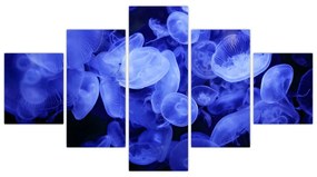 Obraz - Meduzy (125x70 cm)