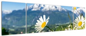 Obraz - Wiosna w Alpach (170x50 cm)