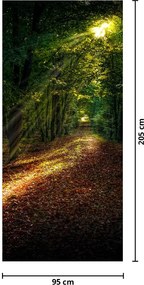 Fototapeta na drzwi - Leśna ścieżka (95x205cm)