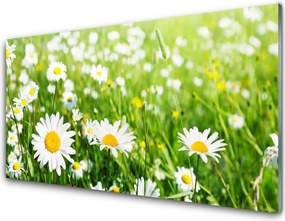 Szkło do Kuchni na Ścianę Biała Stokrotka w Detalu