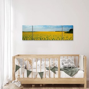 Obraz - ciąg słoneczników (170x50 cm)