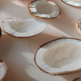 Obraz - Kokosy (70x50 cm)