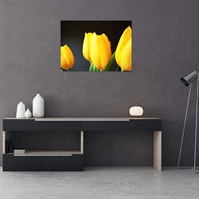 Obraz tulipanów (70x50 cm)