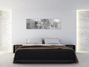 Obraz - Trawa pampasowa Boho (170x50 cm)