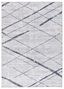 Jasnoszary dywan 200x290 cm Class – Universal