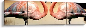 Obraz - dwa flamingi (170x50 cm)