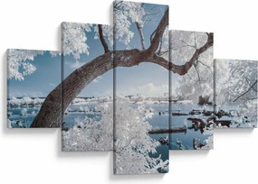 Obraz ośnieżonego drzewa nad wodą (125x70 cm)