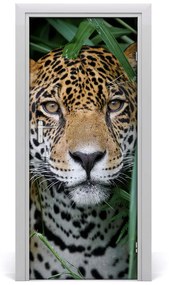 Fototapeta samoprzylepna na drzwi Jaguar w amazoni