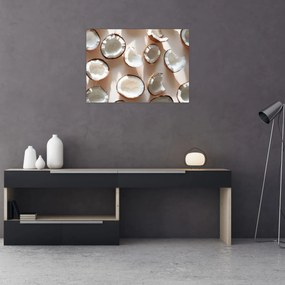 Obraz - Kokosy (70x50 cm)
