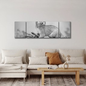 Obraz - Lis szary (170x50 cm)