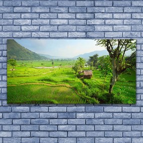 Obraz na płótnie Sielska Zielona Łąka