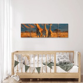 Obraz - Żyrafy na pastwisku (170x50 cm)