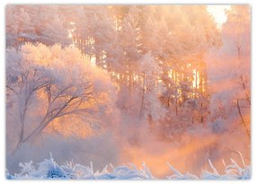 Obraz na szkle - Mroźny świt (70x50 cm)