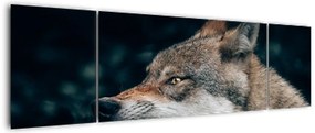 Obraz wilka (170x50 cm)