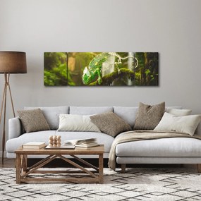 Obraz kameleona (170x50 cm)