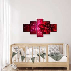 Obraz czerwonego kwiatu (125x70 cm)